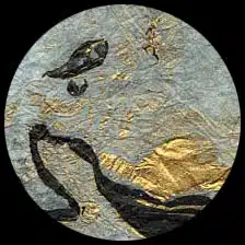 Momi-opal