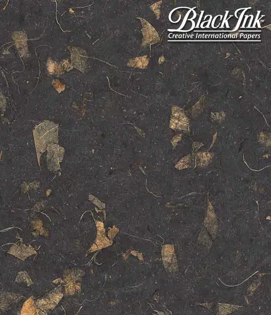 Mango-black - Image 3