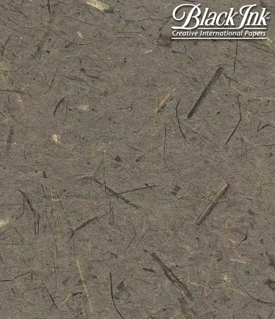 Banana - mesquite - Image 3