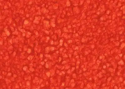 Lace-Red/Orange 200 g/m2