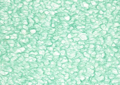 Lace – Seafoam Blue