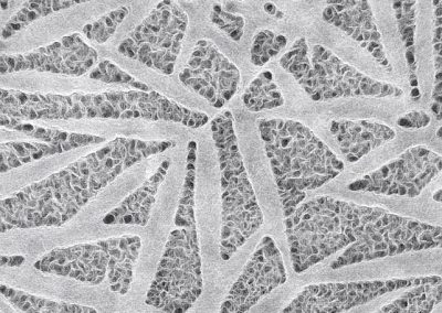 Lace Bamboo Leaves–White