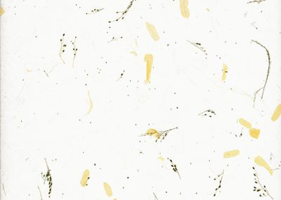 Yellow Tamarind Leaves – 80 g/m2