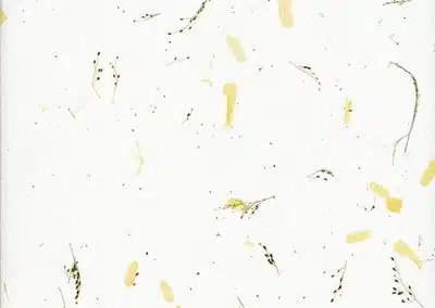 Yellow Tamarind Leaves – 80 g/m2