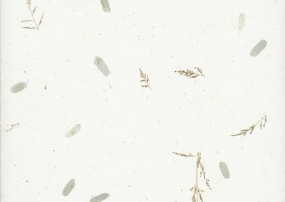 Green Tamarind Leaves – 80 g/m2