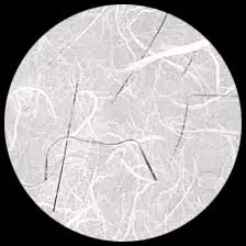 Unryu-White with Silver Thread